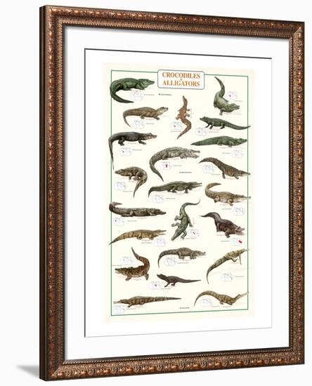 Crocodiles and Alligators-null-Framed Art Print