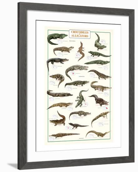 Crocodiles and Alligators-null-Framed Art Print