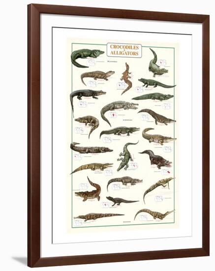 Crocodiles and Alligators-null-Framed Art Print