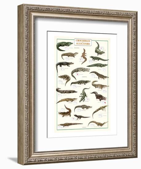 Crocodiles and Alligators-null-Framed Art Print