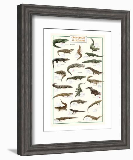 Crocodiles and Alligators-null-Framed Art Print