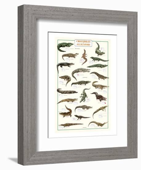 Crocodiles and Alligators-null-Framed Art Print