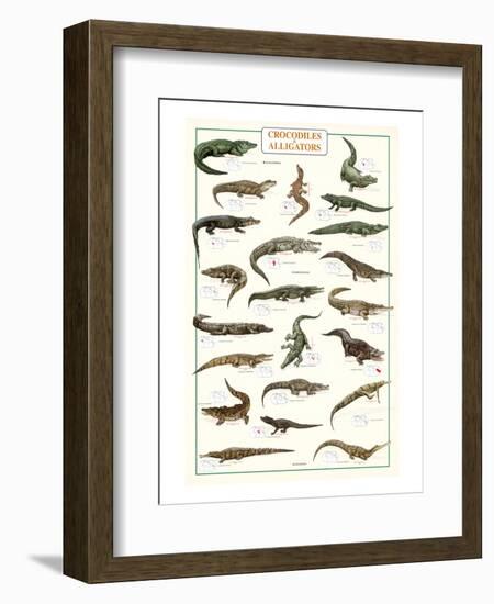 Crocodiles and Alligators-null-Framed Art Print