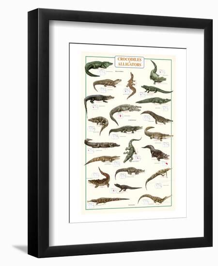 Crocodiles and Alligators-null-Framed Art Print