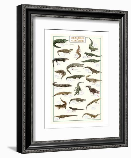 Crocodiles and Alligators-null-Framed Art Print