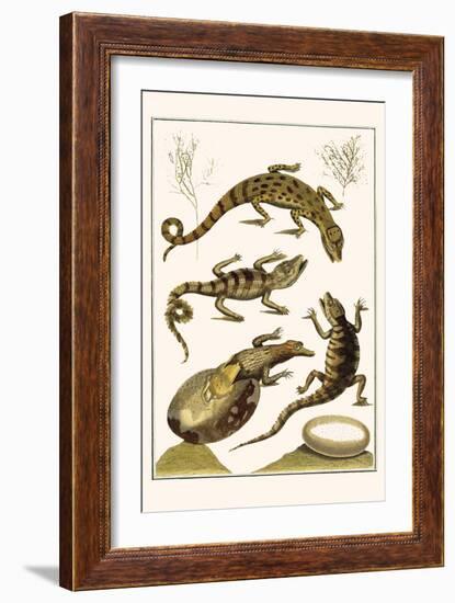 Crocodiles and Plants-Albertus Seba-Framed Premium Giclee Print