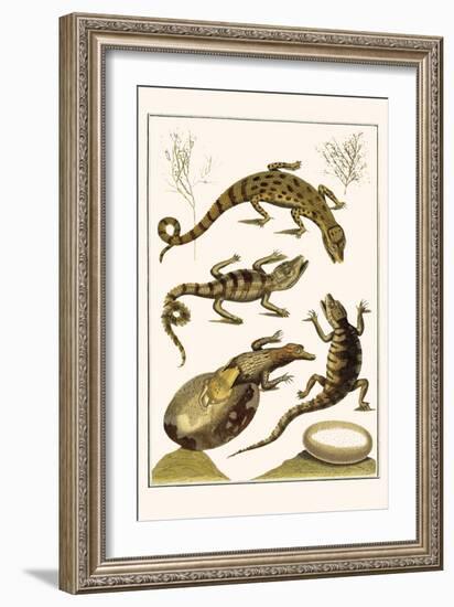 Crocodiles and Plants-Albertus Seba-Framed Art Print