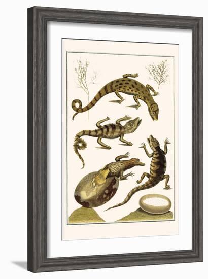 Crocodiles and Plants-Albertus Seba-Framed Art Print