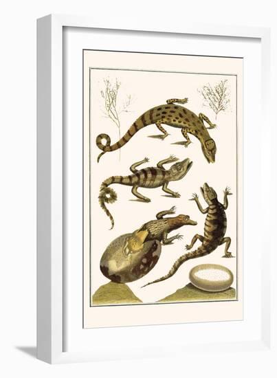 Crocodiles and Plants-Albertus Seba-Framed Art Print