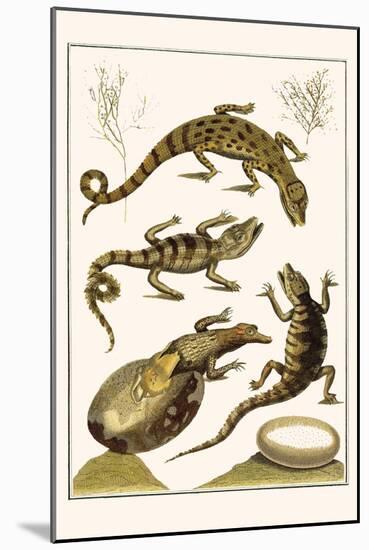 Crocodiles and Plants-Albertus Seba-Mounted Art Print