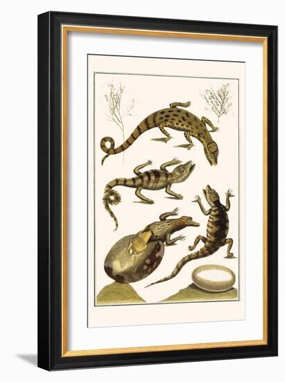 Crocodiles and Plants-Albertus Seba-Framed Art Print