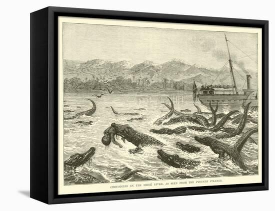 Crocodiles on the Shire River, as Seen from the Pioneer Steamer-null-Framed Premier Image Canvas