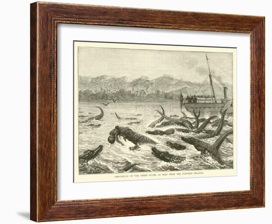 Crocodiles on the Shire River, as Seen from the Pioneer Steamer-null-Framed Giclee Print