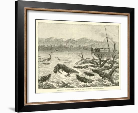 Crocodiles on the Shire River, as Seen from the Pioneer Steamer-null-Framed Giclee Print