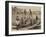 Crocodiles-null-Framed Photographic Print