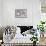 Crocus Blur II-Malcolm Sanders-Framed Giclee Print displayed on a wall