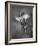 Crocus BW-István Nagy-Framed Photographic Print