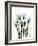 Crocus C38-Albert Koetsier-Framed Photographic Print