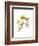 Crocus Dance-Judy Stalus-Framed Premium Giclee Print