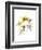 Crocus Dance-Judy Stalus-Framed Premium Giclee Print