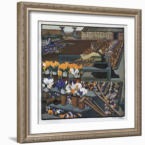 Crocus Garden 1904-R M Eissler-Framed Art Print