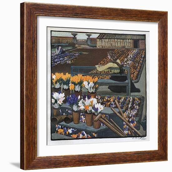 Crocus Garden 1904-R M Eissler-Framed Art Print