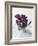 Crocus in the Snow-Nancy Rotenberg-Framed Photographic Print