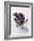 Crocus in the Snow-Nancy Rotenberg-Framed Photographic Print