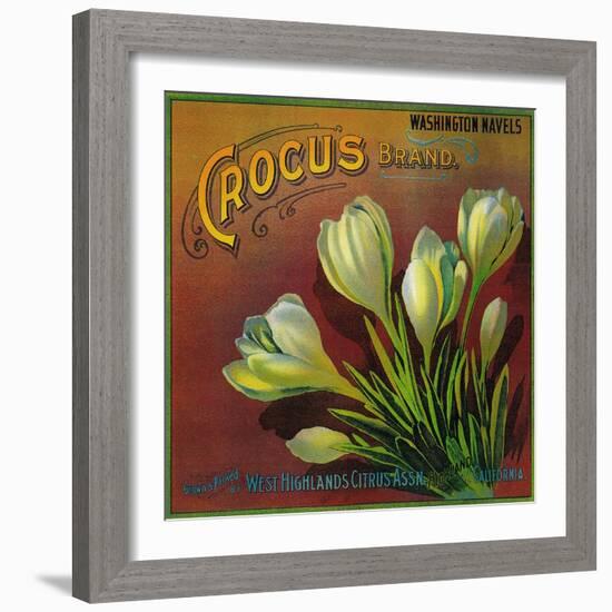 Crocus Orange Label - Highland, CA-Lantern Press-Framed Art Print