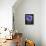 Crocus Pickwick Flower-Clive Nichols-Framed Premier Image Canvas displayed on a wall