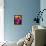 Crocus, Reading, Massachusetts, USA-Lisa S. Engelbrecht-Framed Premier Image Canvas displayed on a wall