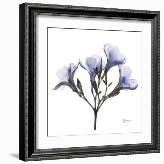 Crocus's in Purple-Albert Koetsier-Framed Art Print