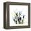 Crocus Square-Albert Koetsier-Framed Stretched Canvas