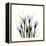 Crocus Square-Albert Koetsier-Framed Stretched Canvas