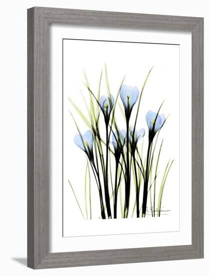 Crocus-Albert Koetsier-Framed Art Print