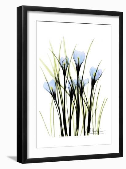 Crocus-Albert Koetsier-Framed Art Print