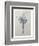 Crocus-Pierre-Joseph Redoute-Framed Premium Giclee Print