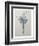 Crocus-Pierre-Joseph Redoute-Framed Premium Giclee Print