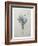 Crocus-Pierre-Joseph Redoute-Framed Art Print