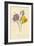 Crocus-Frederick Edward Hulme-Framed Giclee Print