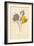 Crocus-Frederick Edward Hulme-Framed Giclee Print