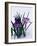 Crocuses in Snow-Darrell Gulin-Framed Photographic Print