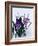 Crocuses in Snow-Darrell Gulin-Framed Photographic Print