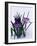 Crocuses in Snow-Darrell Gulin-Framed Photographic Print