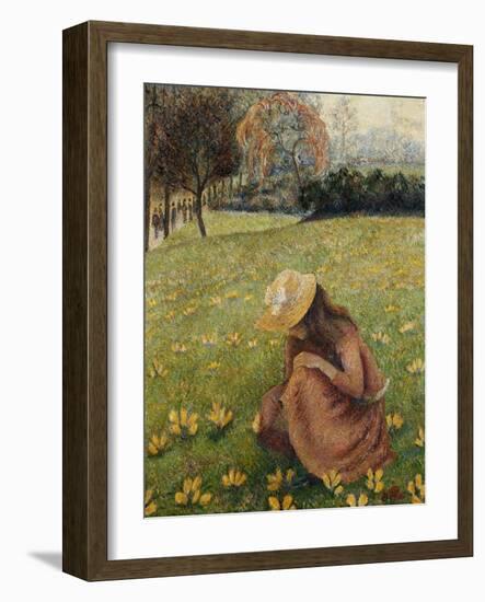 Crocuses; Les Crocus, 1891 (Oil on Canvas)-Lucien Pissarro-Framed Giclee Print