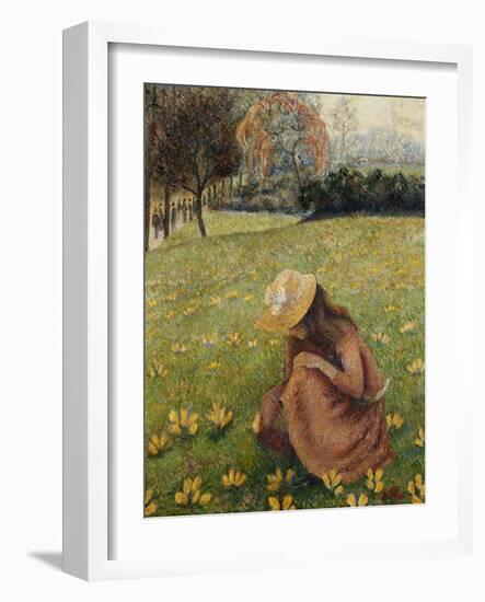 Crocuses; Les Crocus, 1891 (Oil on Canvas)-Lucien Pissarro-Framed Giclee Print