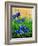 Crocuses-Pol Ledent-Framed Art Print