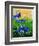 Crocuses-Pol Ledent-Framed Art Print