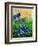 Crocuses-Pol Ledent-Framed Art Print