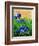 Crocuses-Pol Ledent-Framed Art Print